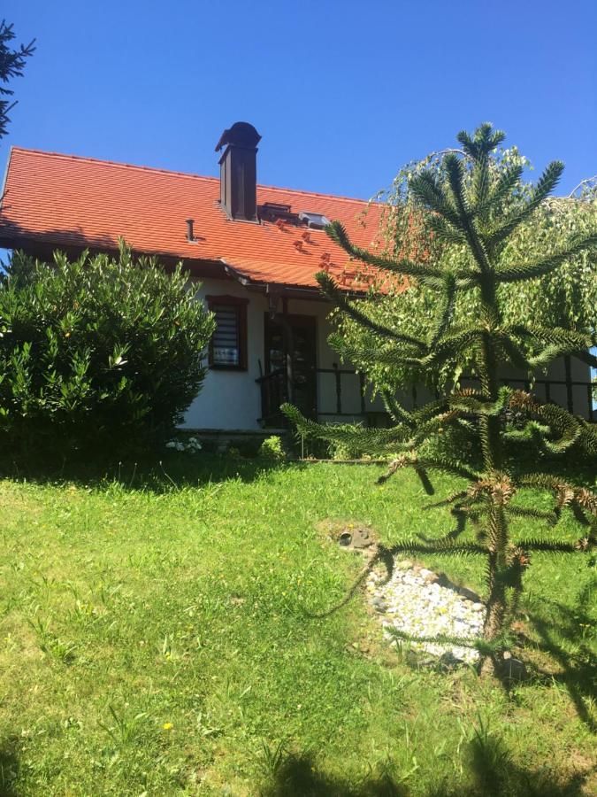 Вилла Haus Bergblick Luftkurort Luckendorf Экстерьер фото